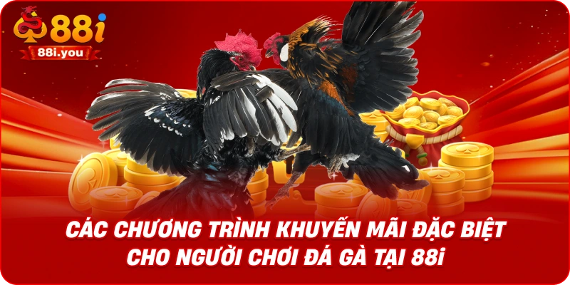 Các chương trình khuyến mãi đặc biệt cho người chơi Đá gà tại 88i