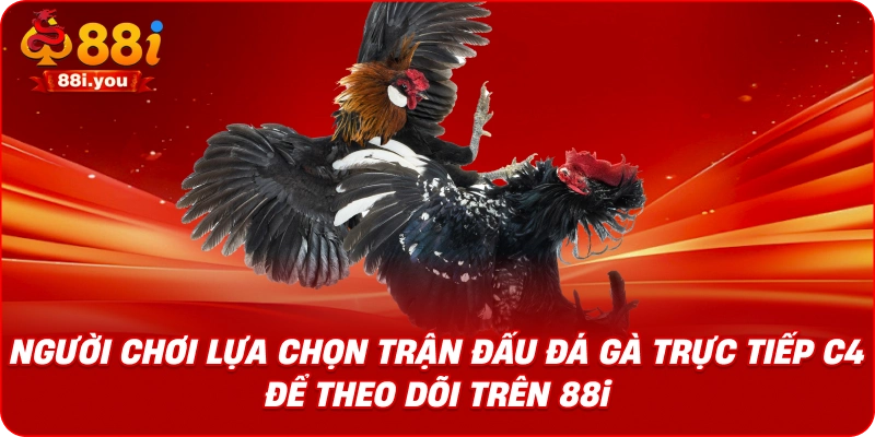Người chơi lựa chọn trận đấu đá gà trực tiếp C4 để theo dõi trên 88i